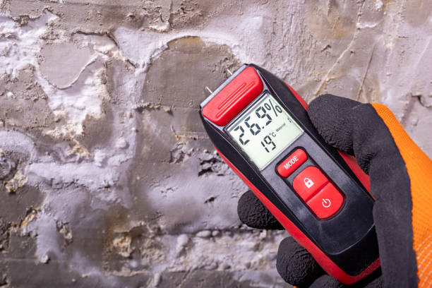 Best Water Damage Restoration  in Whitefish, MT