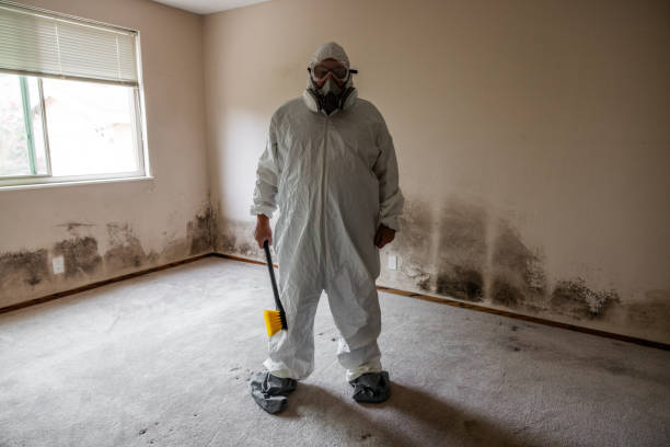 Water Damage Restoration in Whitefish, MT